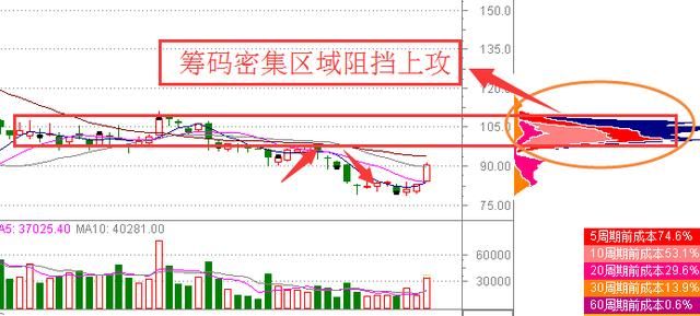 32岁海归女交易员临终感言：选股一辈子只看一个指标，值得读10遍