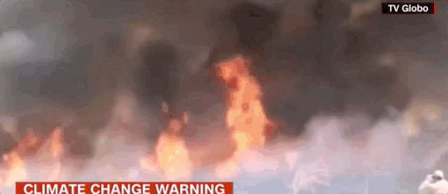 澳大利亚被烧了