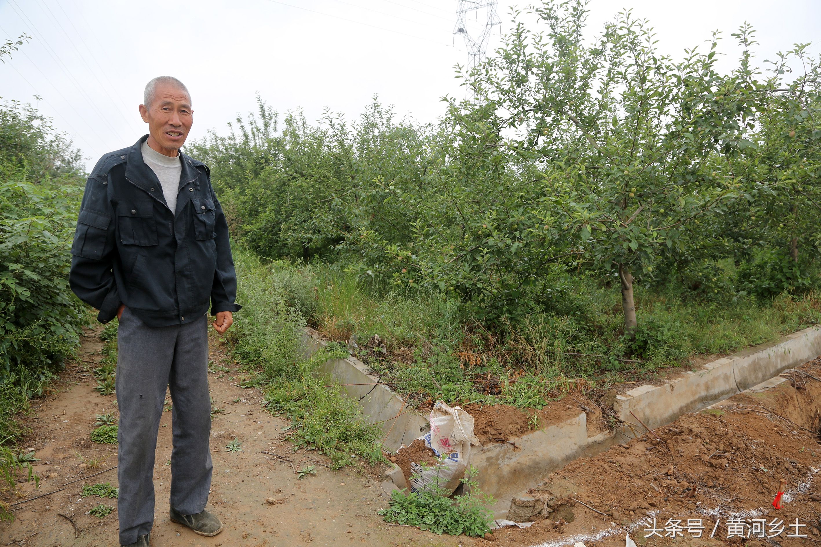 下着雨6旬大叔给果园浇水，种15亩果树年收入7万