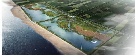 南通启东恒大碧海银沙搁浅的座头鲸标本展览馆即将建成