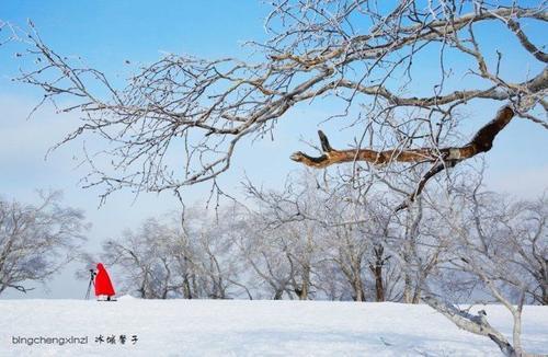 大秃顶子山雪龙顶,亚雪公路上的冰雪画廊