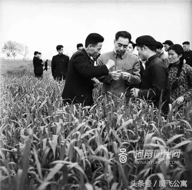 100张郑州绝密照片,带你揭开一段鲜为人知的历史