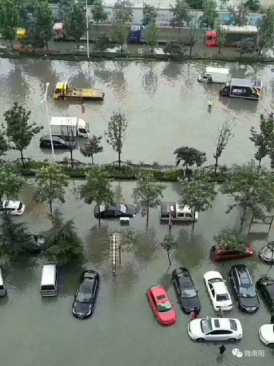 暴雨突袭南阳变水城!有人街上逮鱼，有人开推土机接媳妇!