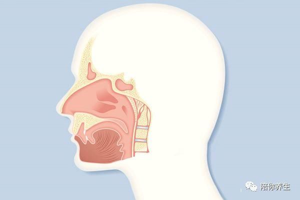 鼻咽癌你了解吗 这种偏爱中国人的癌症该怎么预防