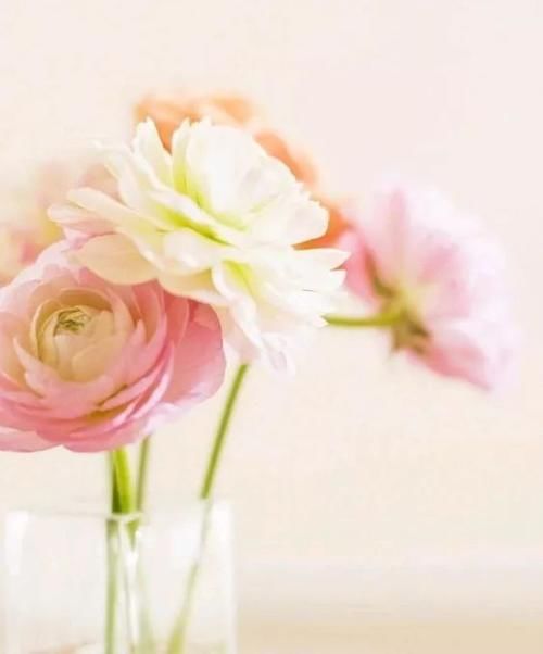 朋友圈早安经典语录 早安唯美心语配图片