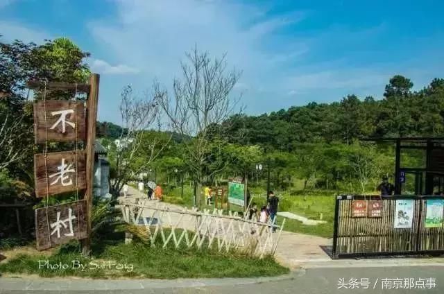 别总去中山陵夫子庙啦!南京这10个绝美冷门景点,小长假走起!