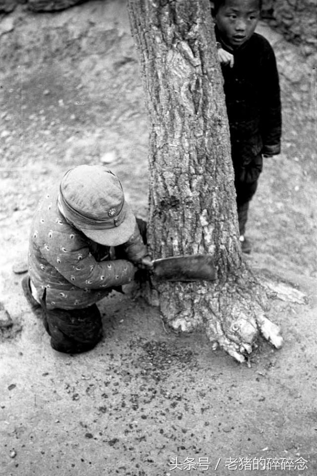 老照片上的历史瞬间之洛阳1942