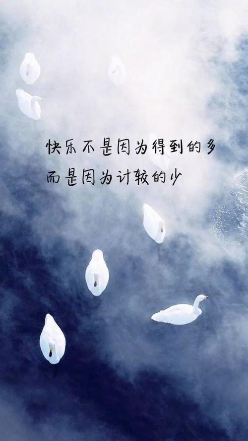 t015b516837ab70894f.jpg