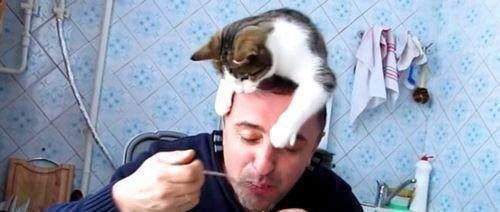 上帝太偏心,这些精灵都是造物主的宠儿