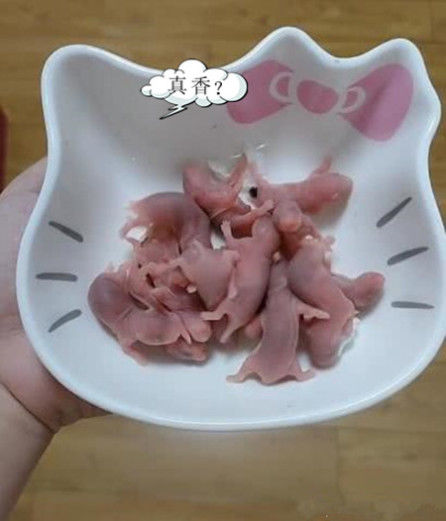 女子将刚出生的小鼠崽放碗里,拍照上传朋友圈,手机顿时狂震 老葡京娱乐平台
