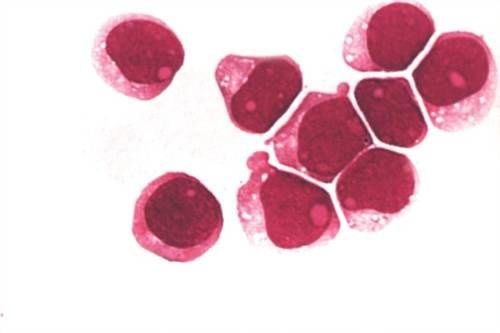 东基层医疗信息数据互联;双鹭药业认购美国AT