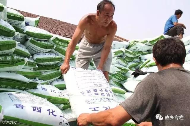 今年很多农民都放弃种地，农民的日子咋这么艰难？