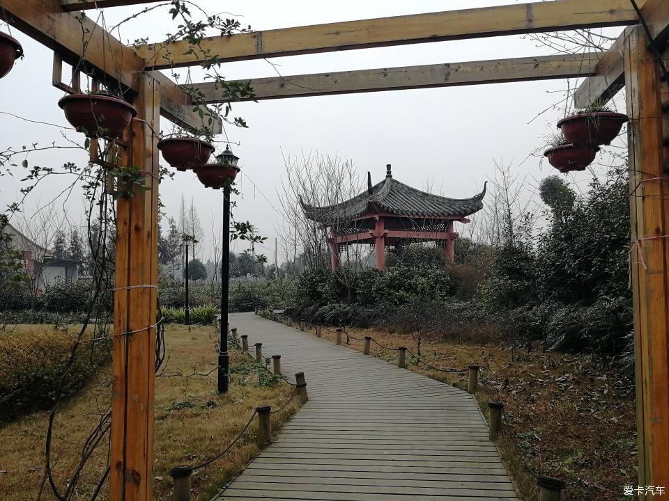 参观牛碾坪万亩观光茶