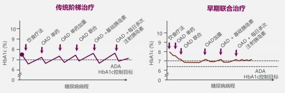 早期联合:血糖早期达标，患者远期获益