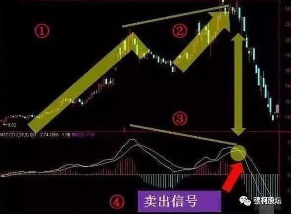 20年老股明的压箱底MACD选股战法，伏击强势股精准率惊人，让你获