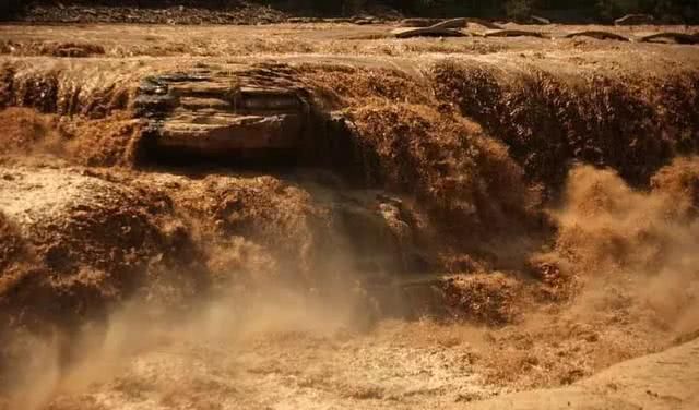 有什么就会看什么