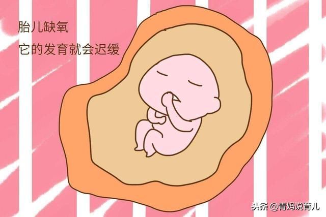 怀胎十月,这个月份胎儿最易发生宫内缺氧,孕妈