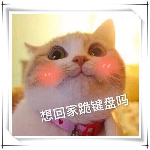 超萌的勾搭耳朵:闭上我的小表情,我都听撒娇表情包求图片