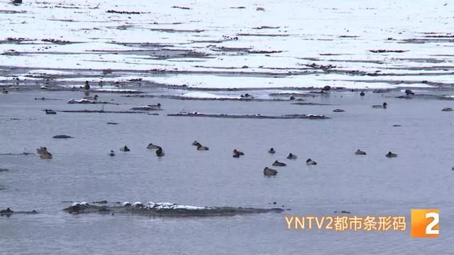 我在昆明艳阳高照 你在迪庆大雪纷飞