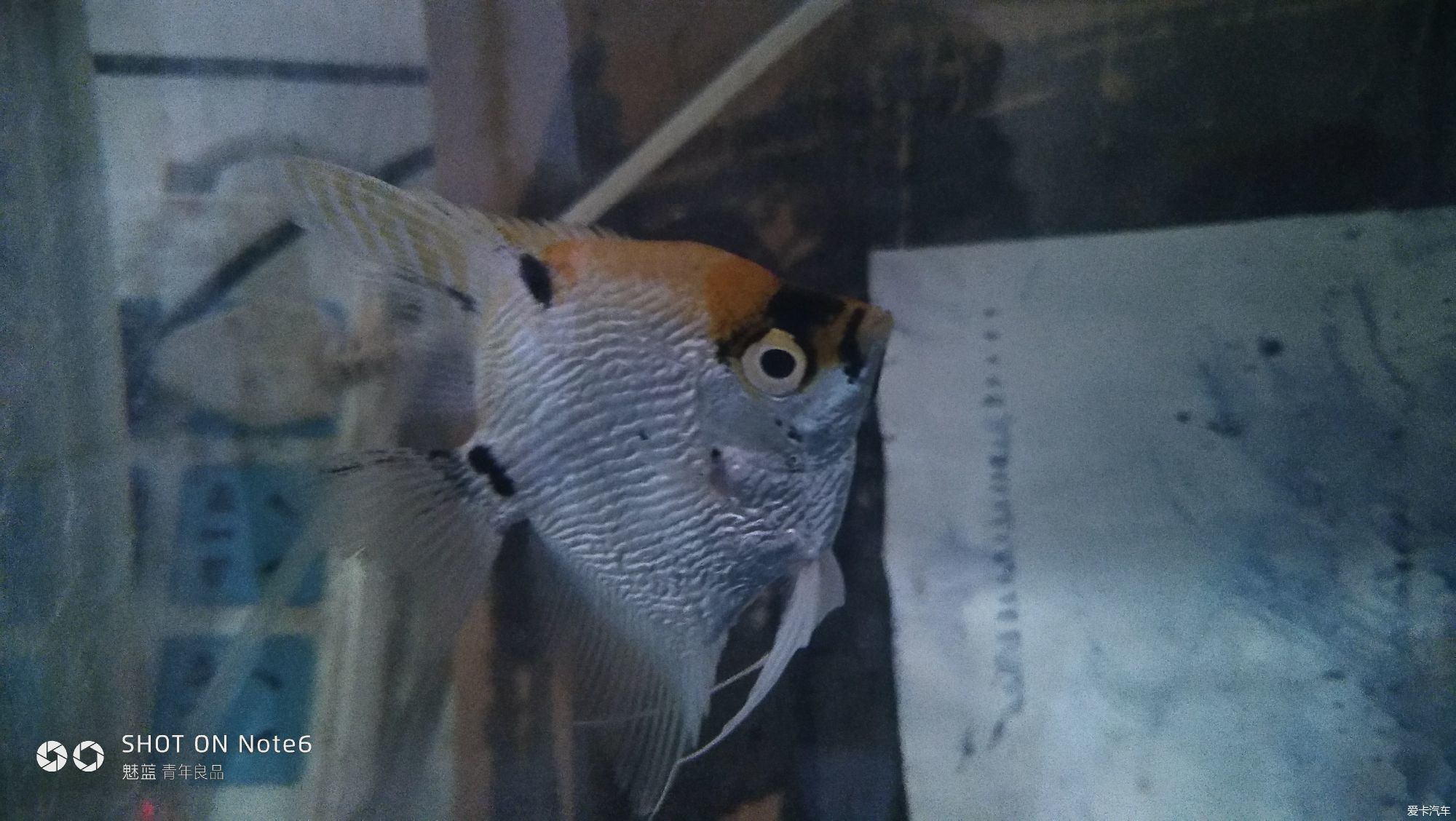 【2018第一季度优秀版主称号】得奖签收贴