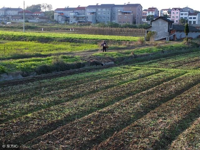 农村土地确权后，这几种情况要收取承包费，您有了解吗？