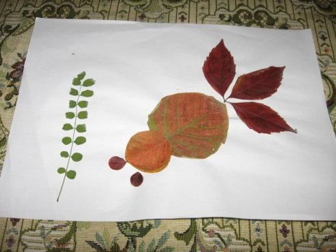 章子怡晒女儿醒醒的手工作品,你替孩子做过哪