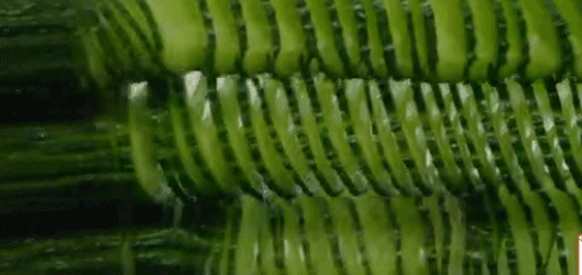 《舌尖》回归!攒了4年的口水，居然忍不住想去买口锅……