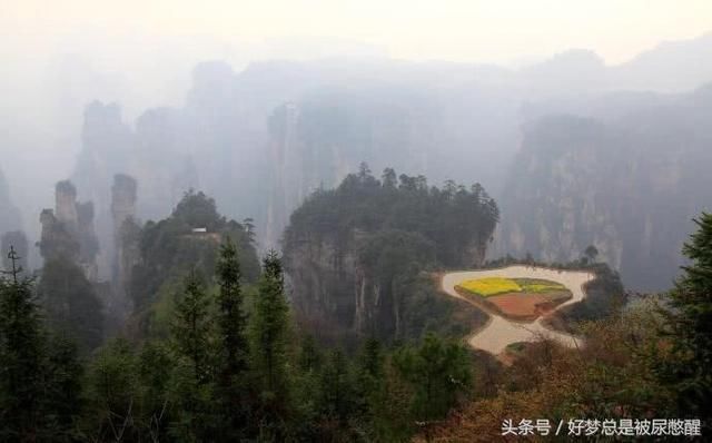 全球最险的一块空中稻田就在中国 位于2000米山峰之巅