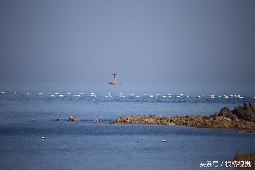 青岛设海上拦浒网防浒苔，今年江苏先治严防死守，不会作乱山东