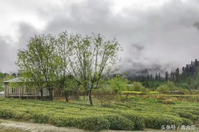 朝圣中国最西边的粉色童话世界，这秘境将迎来最美丽的春天丨西藏