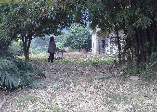 农村出嫁女不能申请宅基地?不注意这几点真不能申请宅基地!