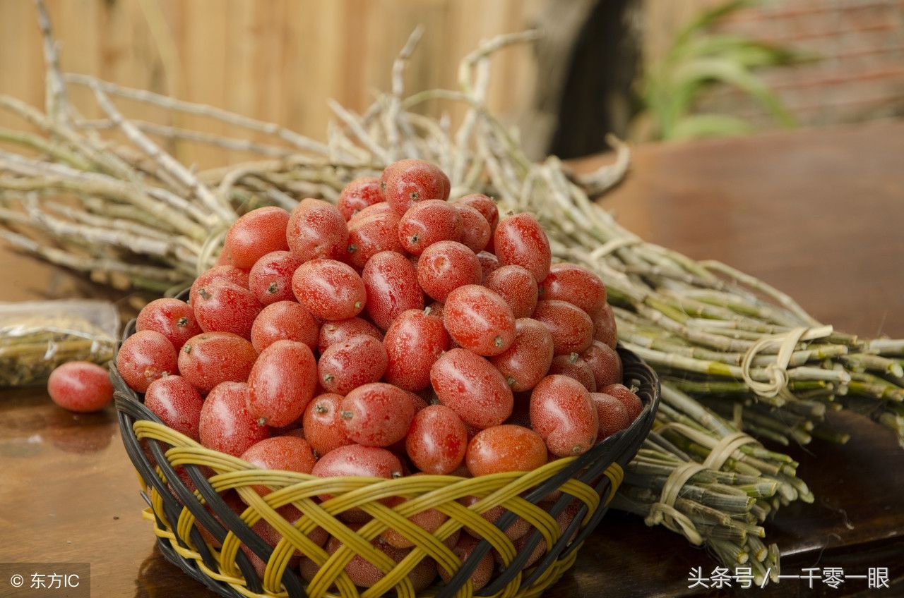 一想到5月份可以吃这些野果子,口水就忍不住的