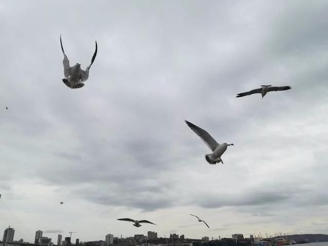 风情俄罗斯，魅力海参崴 俄罗斯休闲三日游小记