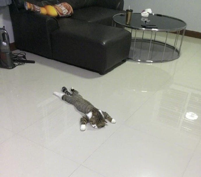 每日神段子 | 中国队不参加世界杯是有原因的!