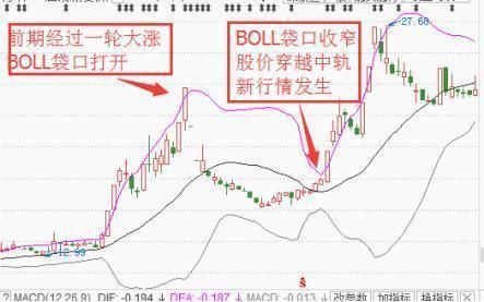 中国股市最大的“股灾”终于落下帷幕，机构从此将处在放大镜之下