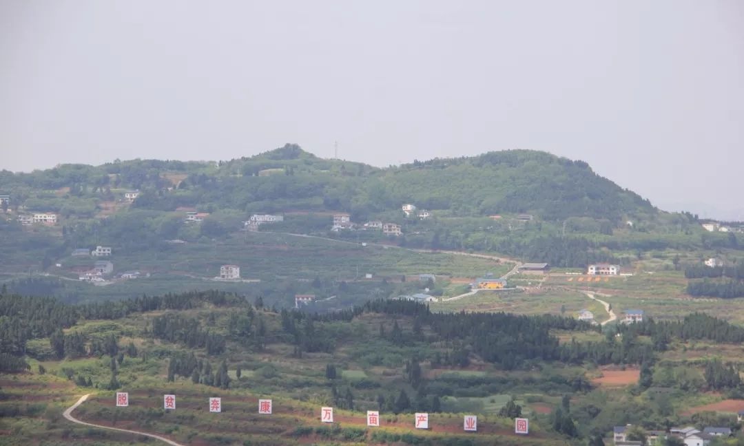 四川南充青姓总人口_四川南充青居镇风景(2)