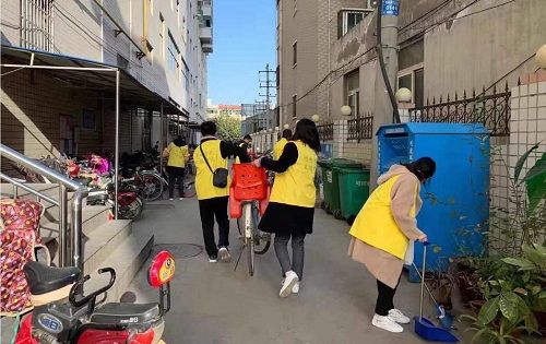 志愿者活动可以有