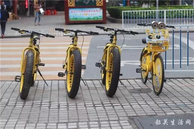 韶关来了电动共享单车!还有肌肉车、公主车、
