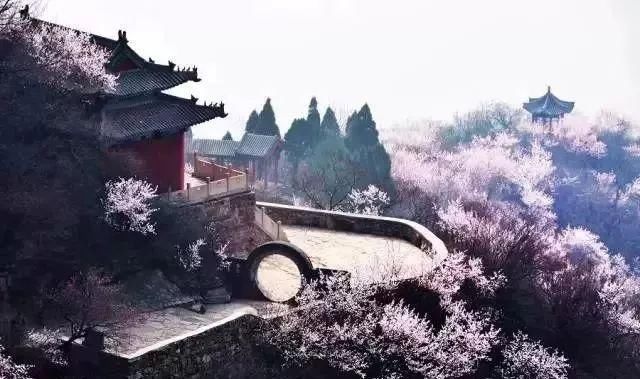 不负春光 | 河北竟私藏着这么多桃花林，就等花开了