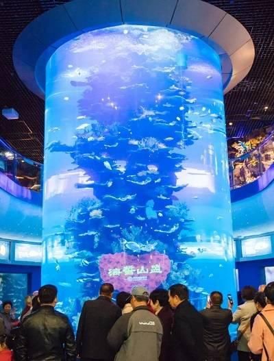 五六月份来青岛,老青岛建议你这样度过逛吃!