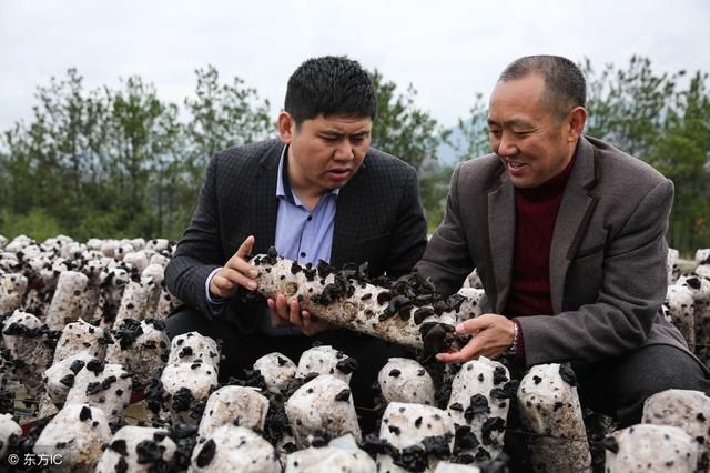 农村扶贫大动作!贫困户将挂牌,村干部带头下发