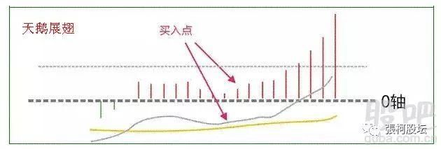 20年老股明的压箱底MACD选股战法，伏击强势股精准率惊人，让你获