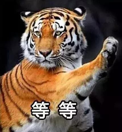 青岛最新年平均工资出炉！猜猜这是哪个行业的：130074元！