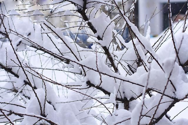 看最美雪景 来郸城南丰镇!