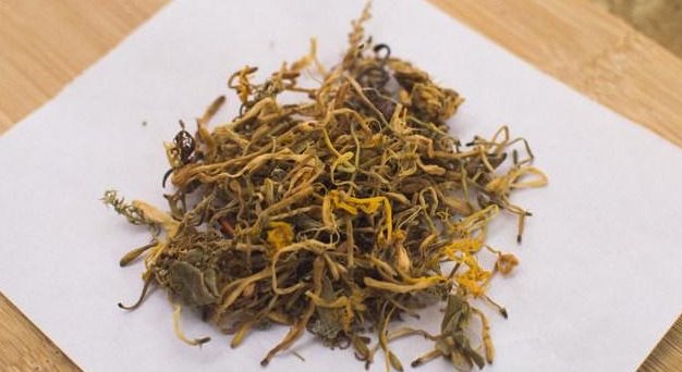 如何食用金银花 t01602e50a34a7410b3.jpg
