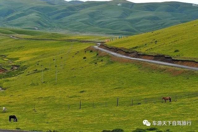 四川著名的九大藏地草原，名气、美景都是响当当，你去过几个！