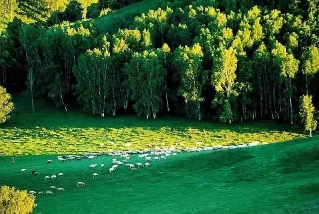 7月走进坝上、走进草原、走进盛夏的乌兰布统！