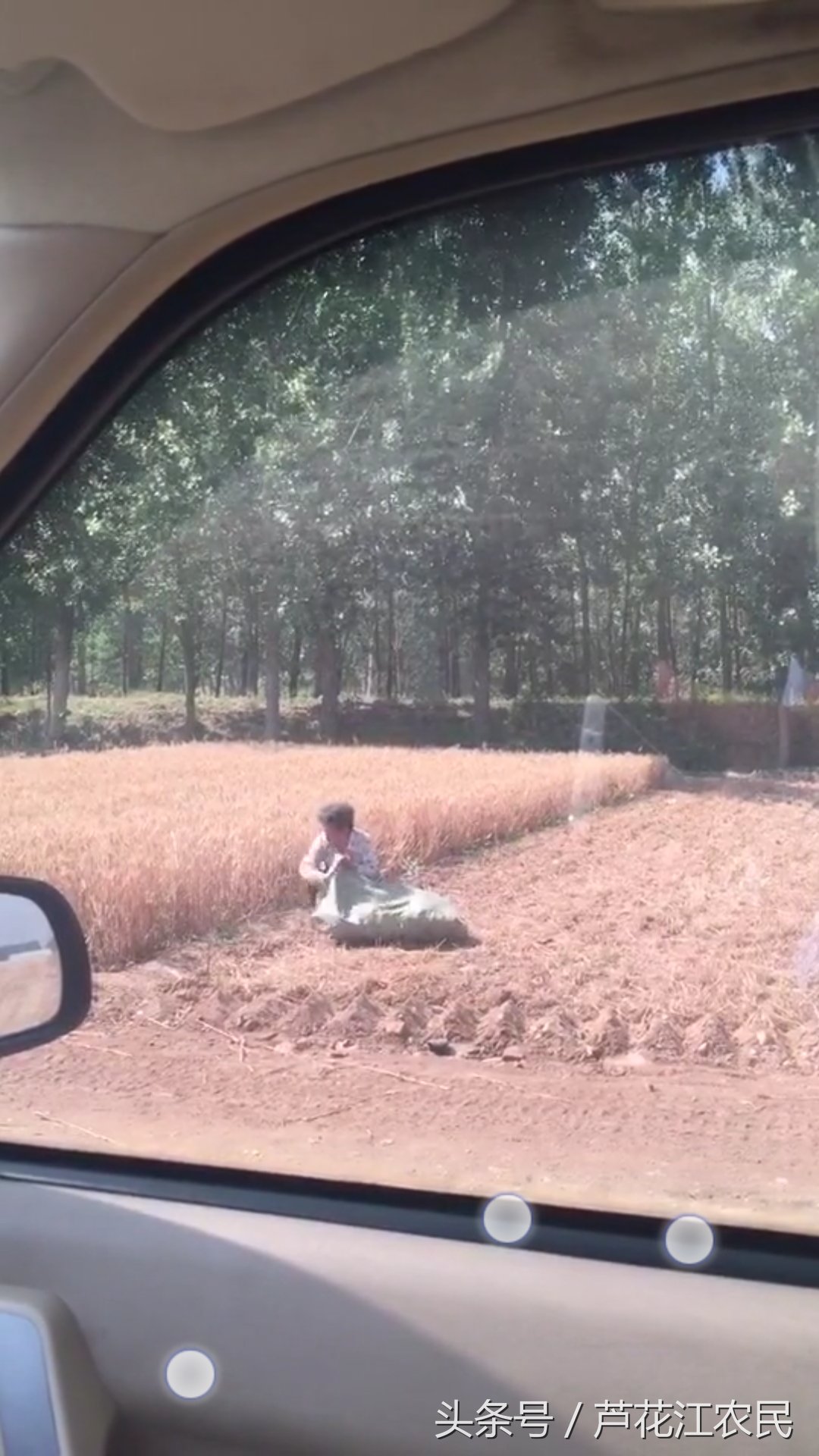 麦收季节，网友在农村拍摄的这组画面让人心寒