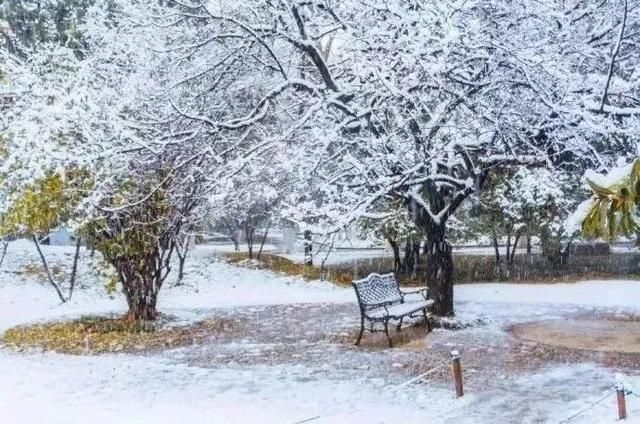 听专业英语专业:证书拿到手,普通本科也能逆袭