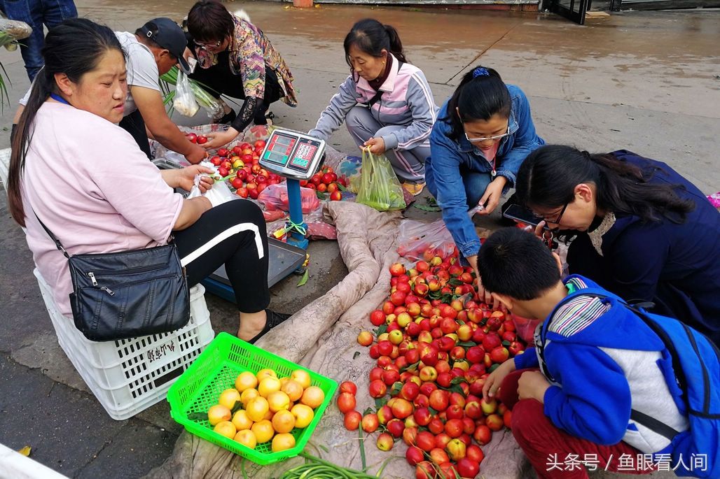 樱桃上市越来越多 价格逐步下降 村民自家种的樱桃最低10块钱一斤